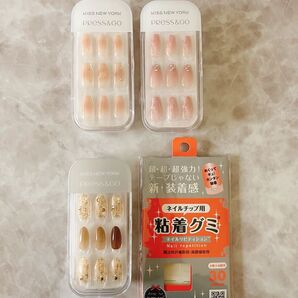 PRess&GO プレス&ゴー ネイルチップ