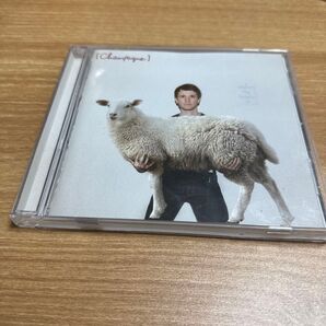 champage where's my potato?