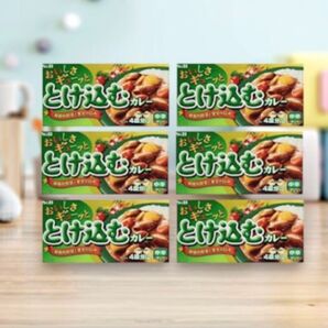 緑黄色野菜と果実の旨味!とろける おいしさギューッととけ込むカレー 中辛 6個⑭