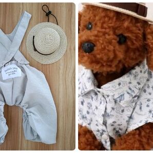 インスタ【犬用】人気 サロペット&帽子&シャツ【未使用】3点セット【ペット用品】