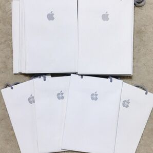 【20枚セット】Apple Store アップルストア ショッピングバッグ iPhone手提袋 通常マーク16枚+ホリデー限定4枚