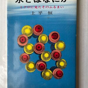水とはなにか ミクロに見たそのふるまい 上平恒 BLUE BACKS