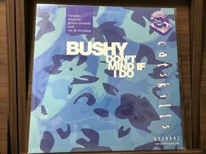 Bushy - Don't Mind If I Do // Catskills Records (Rae & Christian Mix) (Groove Armada 100 Club Mix)