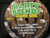 DJ Roli Fingaz Party Blends Volume One_画像1