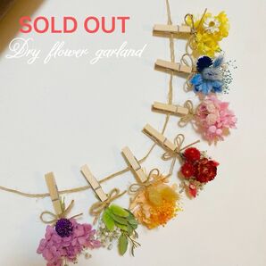 ドライフラワーガーランド なにわ男子メンバーカラー風 なにわ男子風ガーランド なにわ男子 ドライフラワー ガーランド ハロウィン