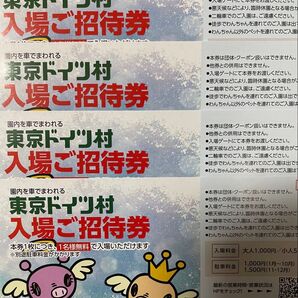 5枚セット 東京ドイツ村 入園ご招待券入場ご優待券 招待券一枚で駐車料金1000円のお支払いで招待券一枚で1名入園料無料