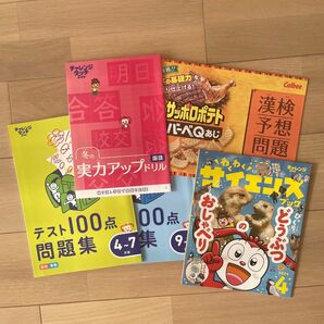 チャレンジ2年生 テスト100点問題集 わくわくサイエンス 実力アップドリル 漢検予想問題