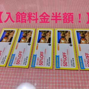 【迅速発送】千葉県野田市 野天風呂 湯の郷 平日入館料50%OFF 5枚 10名様分