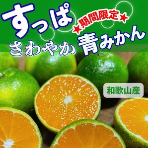 酸っぱい青みかん 和歌山県産 5kg箱込み お料理やジュースにどうぞ