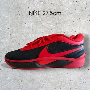 【展示品】NIKE ナイキ GIANNIS FREAK 6 EP 27.5cm