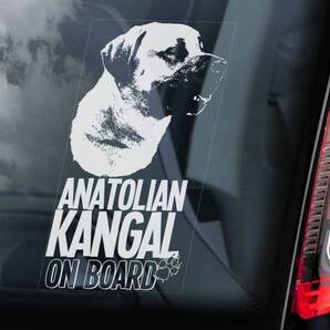 ◆アナトリアン・カンガール・ドッグ(シープドッグ) 外張り カーステッカー 19×10cm 外貼り カー ステッカー シール DOG ON BOAD@ D2 3114