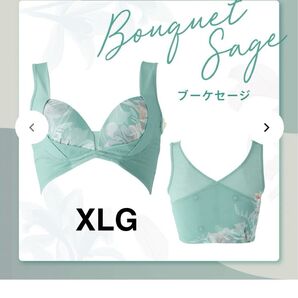 【新品、未開封】ヒーロジー、リカバリーブラair、XLG