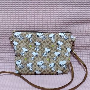 サコッシュ①ゴールドショルダー