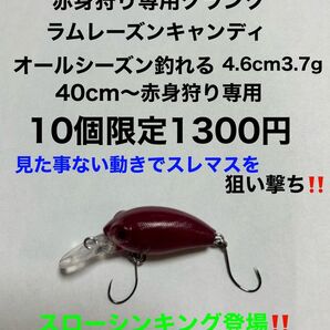釣り赤身狩り専用クランク ディープポセイドン4.6cm3.7g限定10個