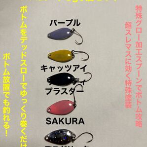 ボトム攻略スプーン!バハムート3g5個セットボトム攻略にはこれだけ