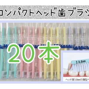 CIコンパクトヘッド歯ブラシ20本