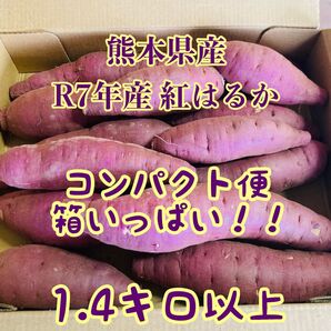 熊本県産 紅はるか コンパクト便箱いっぱい1.4キロ以上 農家直送便