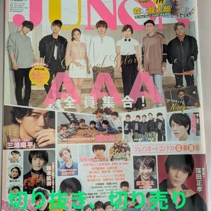 JUNON 2017年 4月 切り抜き 切り売り