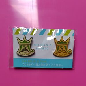 嵐 ARASHI 10-11 TOUR Scene 君と僕の見ている風景 会場限定ピンバッジ(緑)