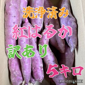茨城県産 さつまいも 紅はるか 訳あり 5キロ