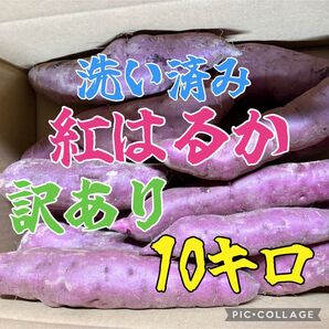 茨城県産 さつまいも 紅はるか 訳あり 10キロ