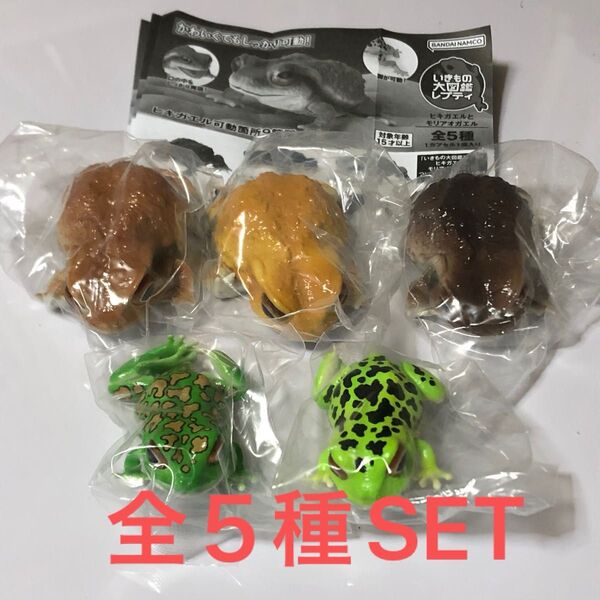いきもの大図鑑レプティヒキガエルとモリアオガエル全5種SET