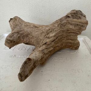  driftwood 2