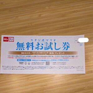 スタジオマリオ 無料お試し券 撮影基本料+4切写真台紙付き1枚 無料プレゼント