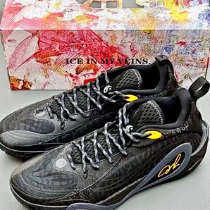 LI-NING Way of wade Dlo 1「門徒」リーニン バスケットシューズ メンズスニーカー 28cm