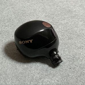 SONY ワイヤレスイヤホン WF-1000XM5 ブラック Ver.4.0.2