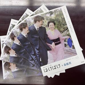 連続テレビドラマ ばけばけ パンフレット5部