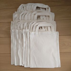 無地トートバッグ まとめ売り30枚 エコバッグ マチなし
