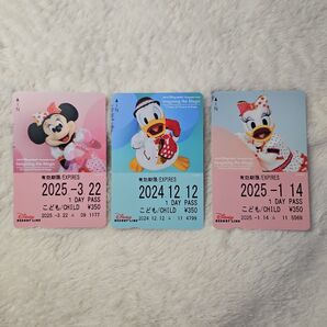 実写 リゾラ フリー切符 ディズニー ミニー デイジー ドナルド