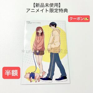 ★更新半額クーポン★【新品未使用】花とゆめ 2025年10・11合併号 アニメイト限定特典 春の嵐とモンスター ポストカード 1枚