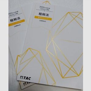 TAC 2024年 租税法 消費税法 基礎テキスト トレーニング 2冊セット