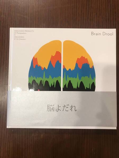 ★博報堂プロダクツ×博報堂★アートブック★アート写真集★Brain Drool★脳よだれ★脳よだれ展★2016年6月初版★広告★