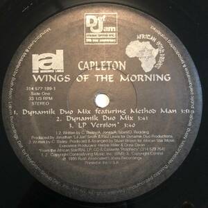 ☆試聴 / CAPLETON / WINGS OF THE MORNING /reggae/dancehall/Hip Hop/Remix/'95/big hit !!/12INCH