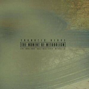 THE MOMENT OF METABOLISMTRANSTIC NERVE