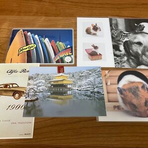 ポストカード 6枚セット