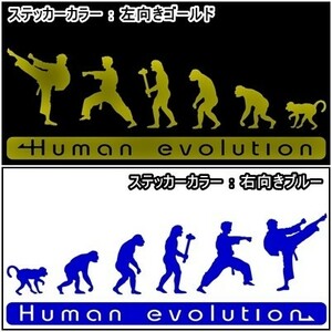 * thousand jpy and more postage 0*30.0×10.5cm person kind. evolution [ pushed .! karate compilation ] ultimate genuine,K1, Rizin, combative sports liking . originals te car (3)