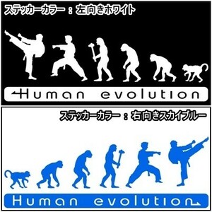 * thousand jpy and more postage 0*30.0×10.5cm person kind. evolution [ pushed .! karate compilation ] ultimate genuine,K1, Rizin, combative sports liking . originals te car (2)