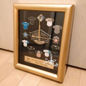 北海道日本ハムファイターズ 伏見寅威選手 直筆サイン入りエスコン開業記念時計 美品