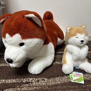 秋田犬 ぬいぐるみ 2個セット