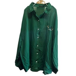 大きいサイズ 3L シースルーシャツ グリーン 刺繍 カジュアル