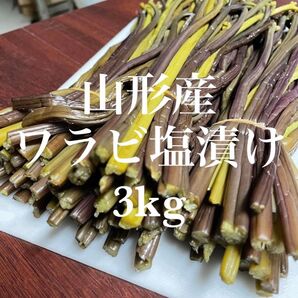 山形県産 アク抜きワラビ塩漬け 3kg(1kg×3袋)塩蔵 わらび 野菜 山菜