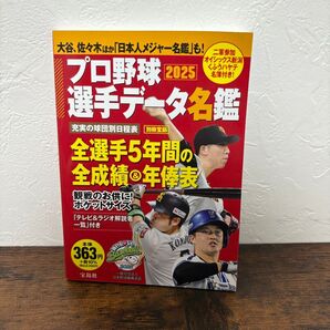 プロ野球選手データ名鑑2025(別冊宝島) 別冊宝島 ベースボール マガジン社 宝島社
