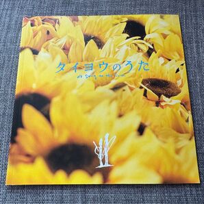 映画パンフレット タイヨウのうた(2006年公開)YUI/塚本高史/小泉徳宏監督