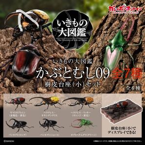 いきもの大図鑑 かぶとむし09 オンライン版 全6種+ガシャポン版カブトハナムグリ(イエロー)