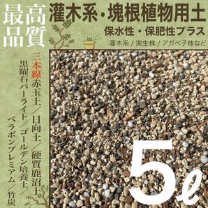 【三本線赤玉土使用】灌木系・塊根植物 コーデックス 用土 5㍑【実生株にも】