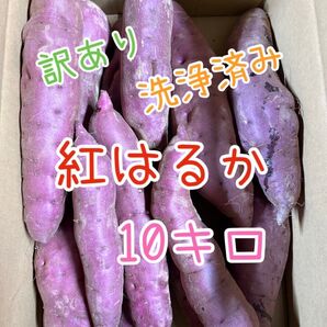茨城県産 さつまいも 紅はるか 訳あり 10kg